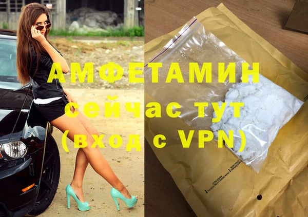 apvp Алзамай
