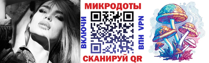 Псилоцибиновые грибы Psilocybine cubensis  Беломорск 